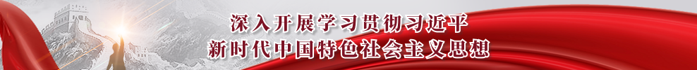 画板 4.png