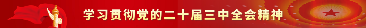 学习贯彻党的二十届三中全会精神.png