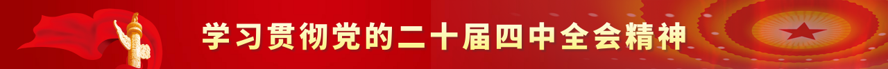 学习贯彻党的二十届四中全会精神.png